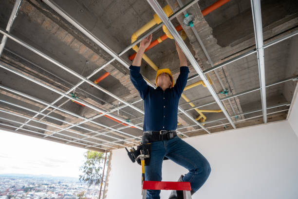 Best Residential Plumbing Services  in Frankford, DE