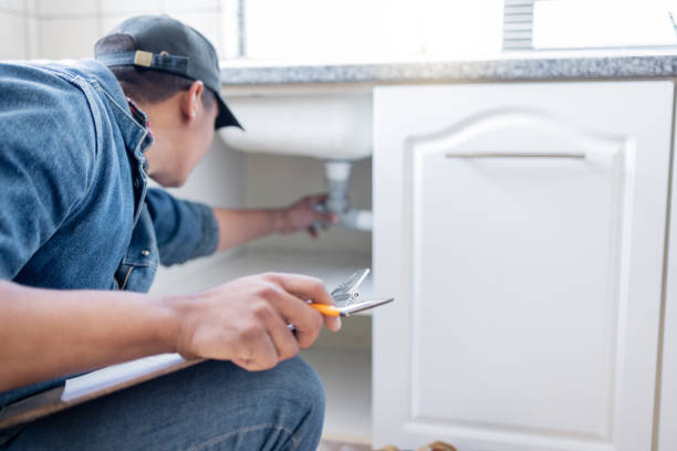 Best Commercial Plumbing Services  in Frankford, DE