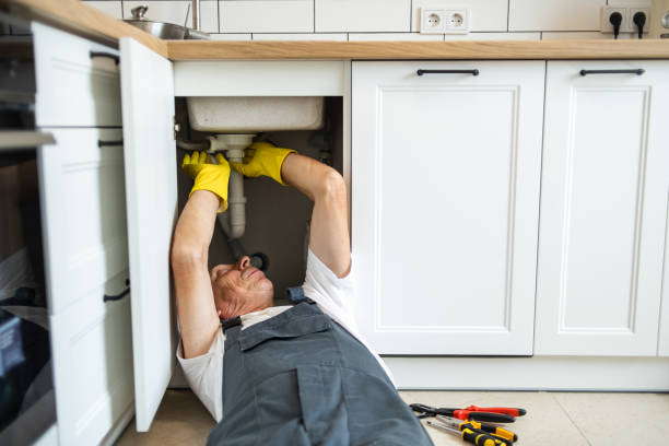 Best Water Softener Installation  in Frankford, DE