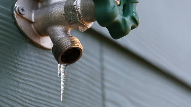 Best Same-Day Plumbing Service  in Frankford, DE