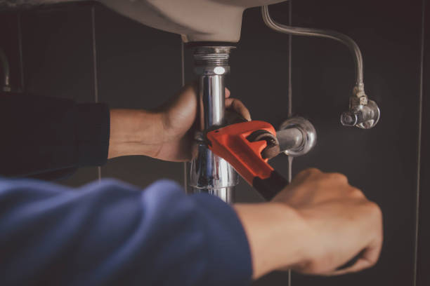 Best Pipe Repair Near Me  in Frankford, DE