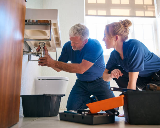 Best Emergency Plumber  in Frankford, DE