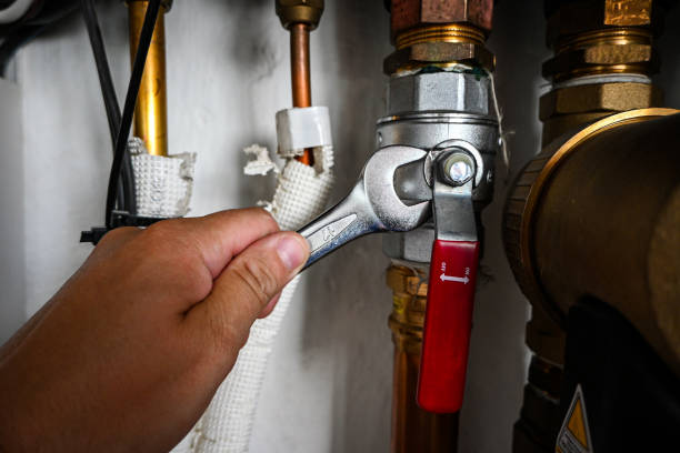 Best Local Plumber Services  in Frankford, DE